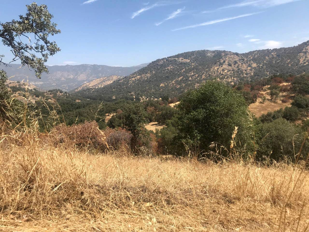 Getaway Rental Sequoia National Park, California Glamping Hub