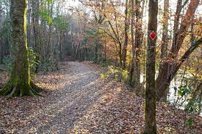 Glamping Site for Two Tucked into the Bogue Chitto State Park