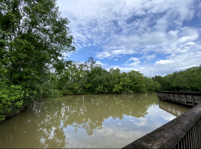RU Tentrr State Park Site Louisiana Tickfaw State Park Pond View
