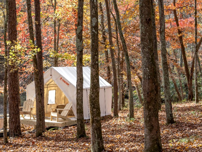 RU Tentrr State Park Site Mississippi JP Coleman State Park Shady Bluff A Single Camp