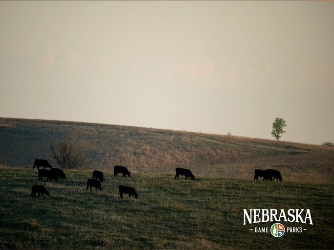 RU Tentrr State Park Site Nebraska Sherman SRA Redwood Lakeview B Single Camp, Tented