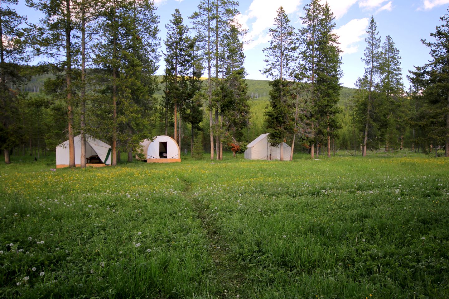 Luxury Tent Lodge Wyoming Glamping Yellowstone Glamping Wyoming