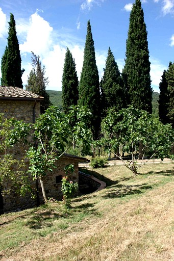 Vacation Rentals (San Gimignano, Tuscany, Italy)