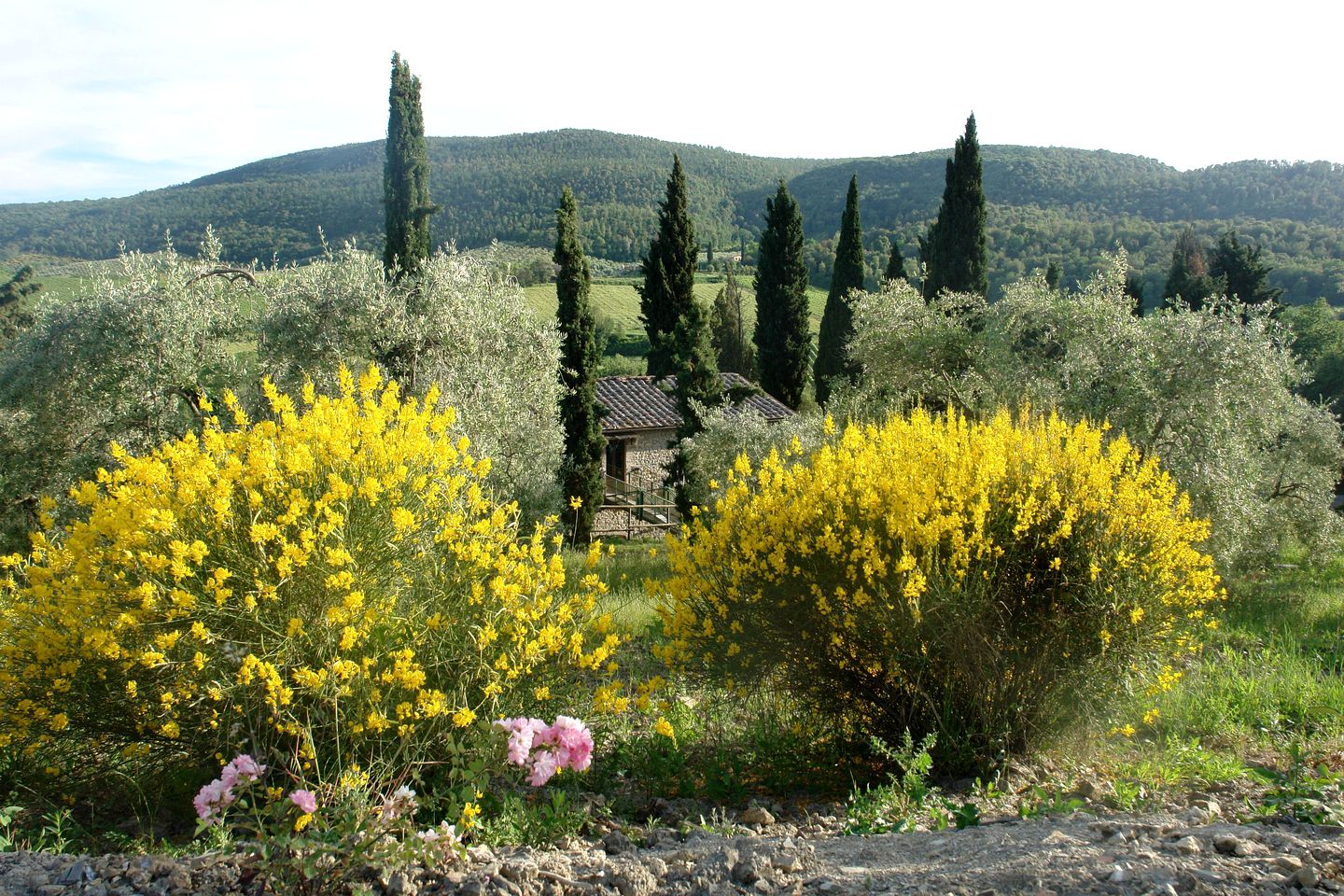 Family-Friendly Holiday Rental near San Gimignano, Tuscany, Italy