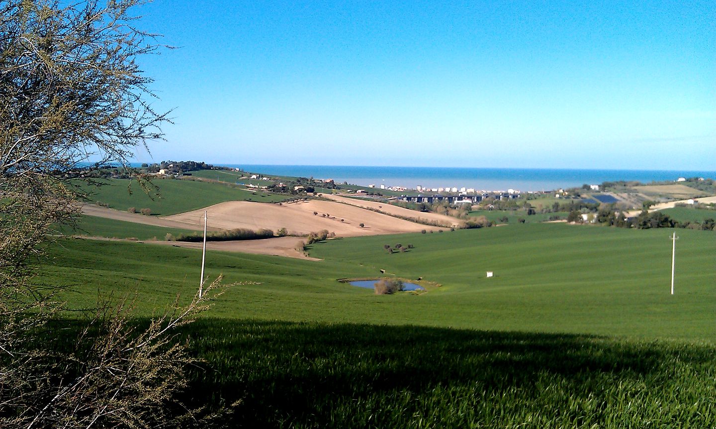 Cozy Vacation Rental in the Heart of the Italian Countryside near Ancona, Italy