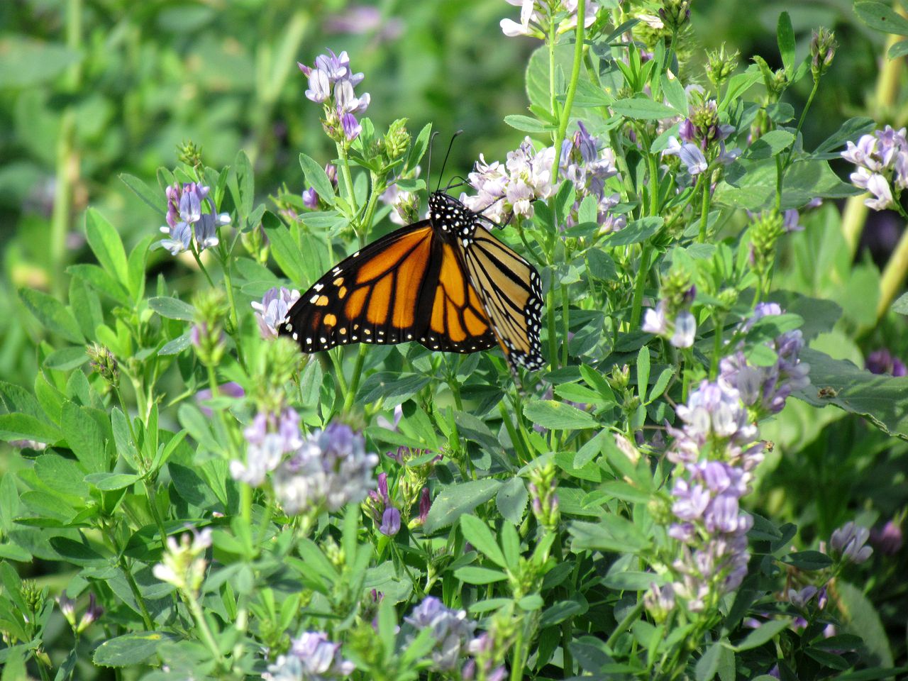 Romantic Getaway with a Relaxing Soaking Tub in Winchester, Ontario