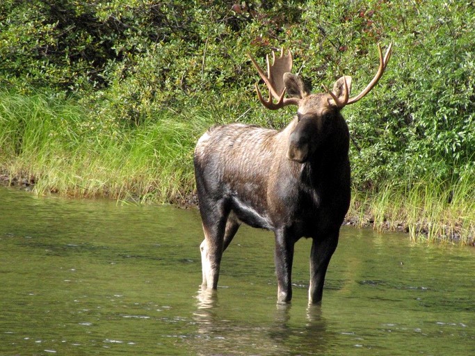 Nature Lodges (Burns lake, British Columbia, Canada)