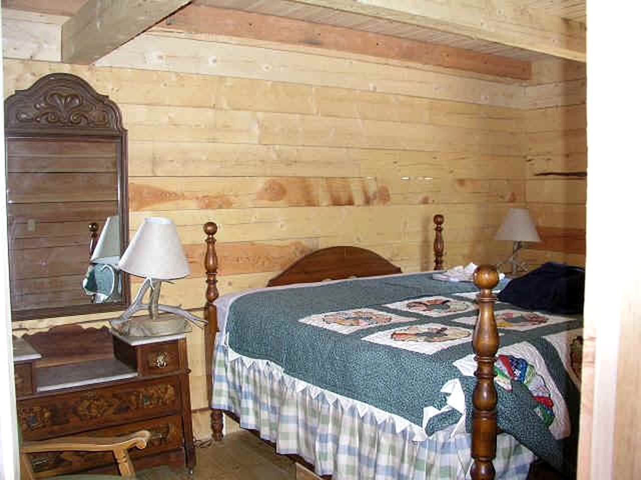 Authentic Log Cabin Rental with Wood from the San Juan Forest near Lake City Ski Hill, Colorado