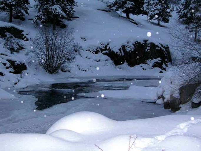 Log Cabins (Lake City, Colorado, United States)