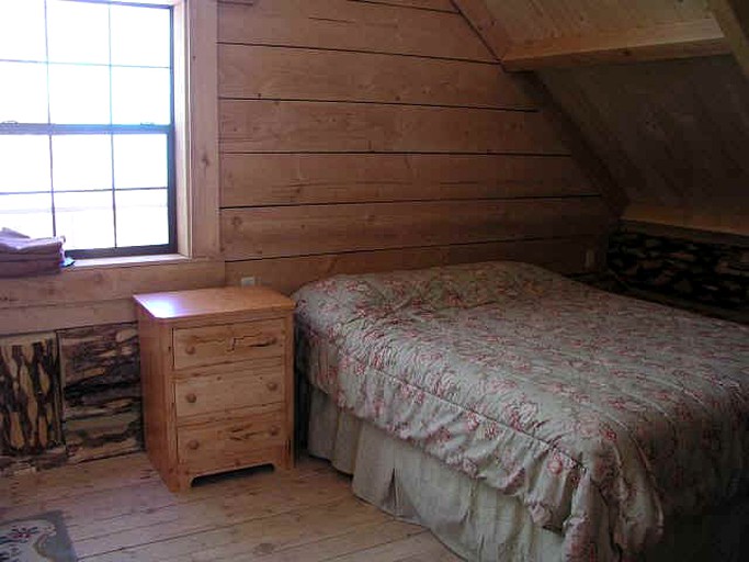 Log Cabins (Lake City, Colorado, United States)