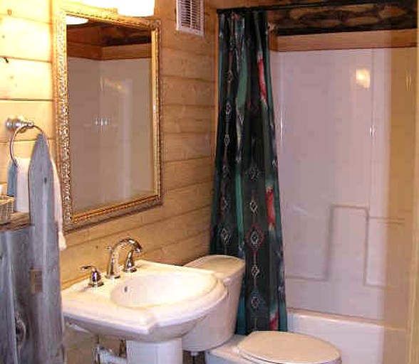 Log Cabins (Lake City, Colorado, United States)