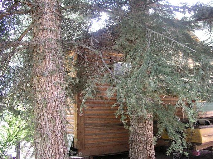 Log Cabins (Lake City, Colorado, United States)