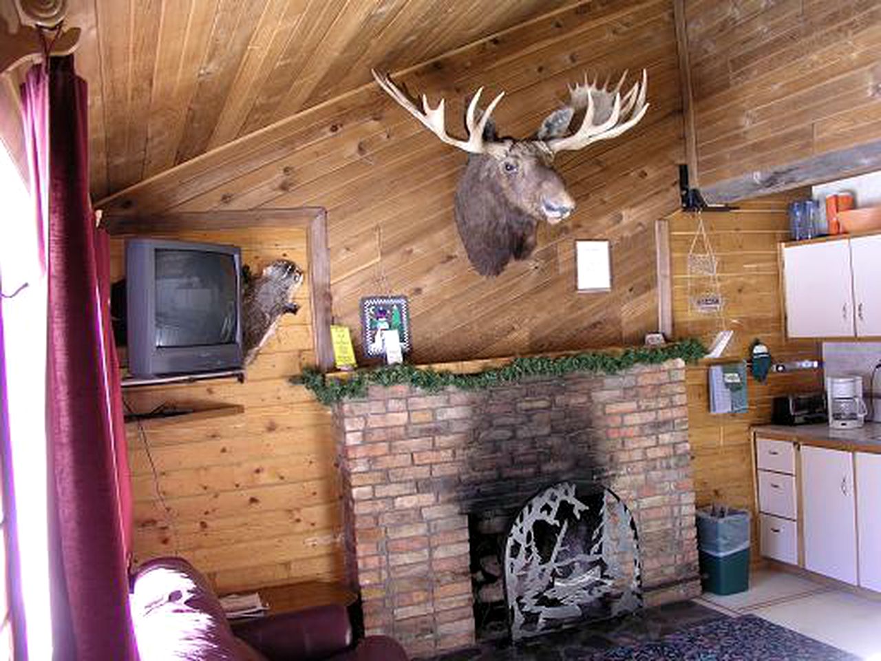 Rustic Log Cabin Rental for Family-Friendly Getaway in Lake City, Colorado