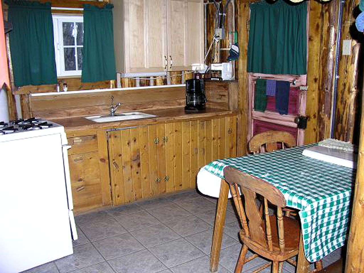 Cozy Log Cabin Rental for a Romantic Getaway in Lake City, Colorado