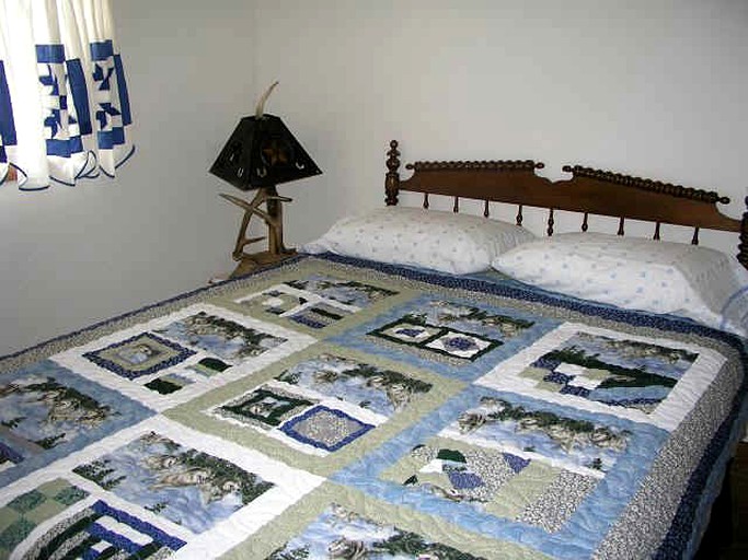 Log Cabins (Lake City, Colorado, United States)