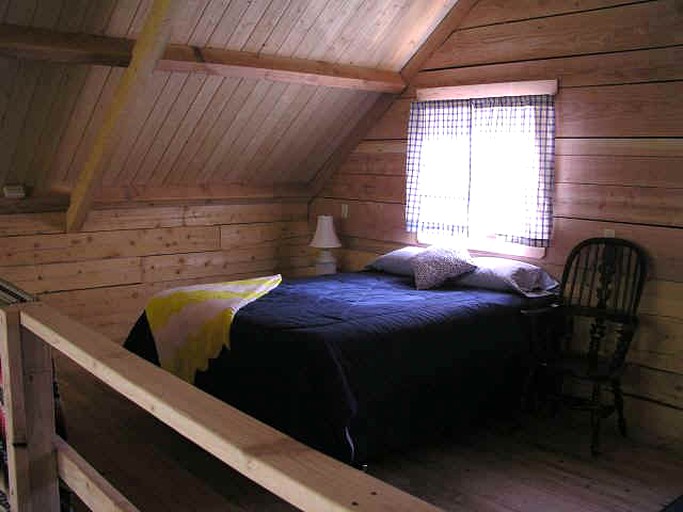 Log Cabins (Lake City, Colorado, United States)