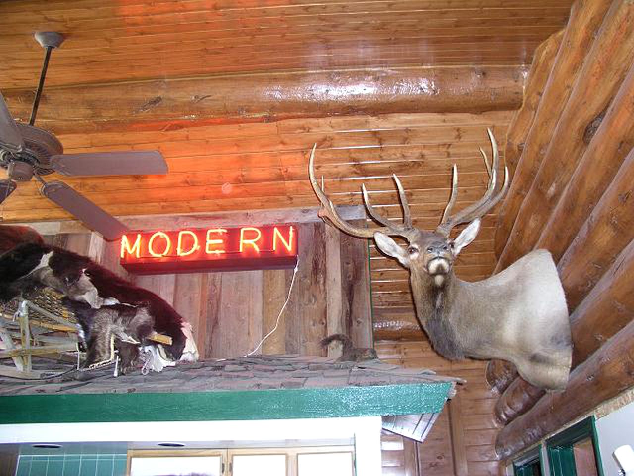 Dog-Friendly Log Cabin Rental for a Rural Getaway in Lake City, Colorado