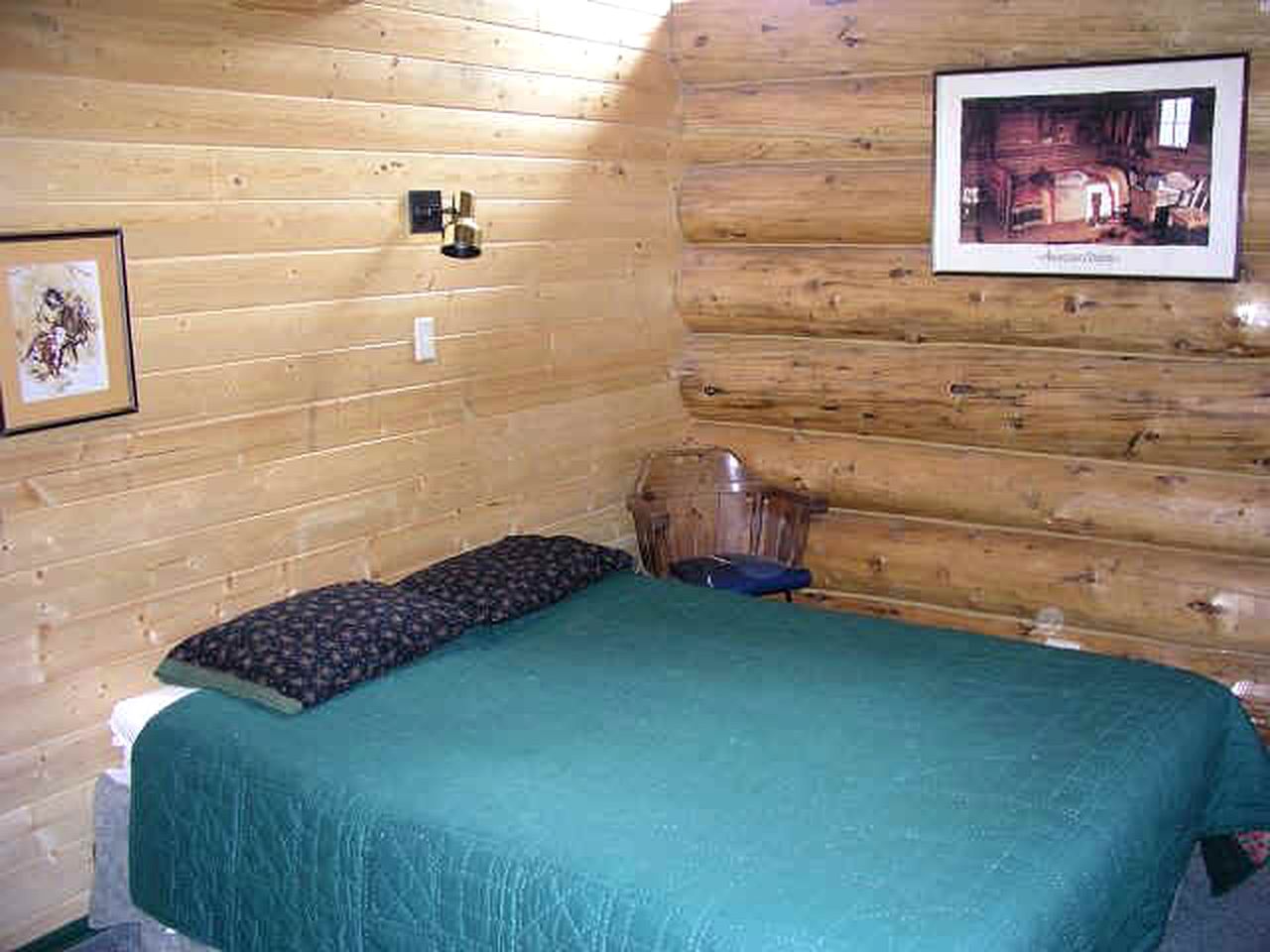 Dog-Friendly Log Cabin Rental for a Rural Getaway in Lake City, Colorado