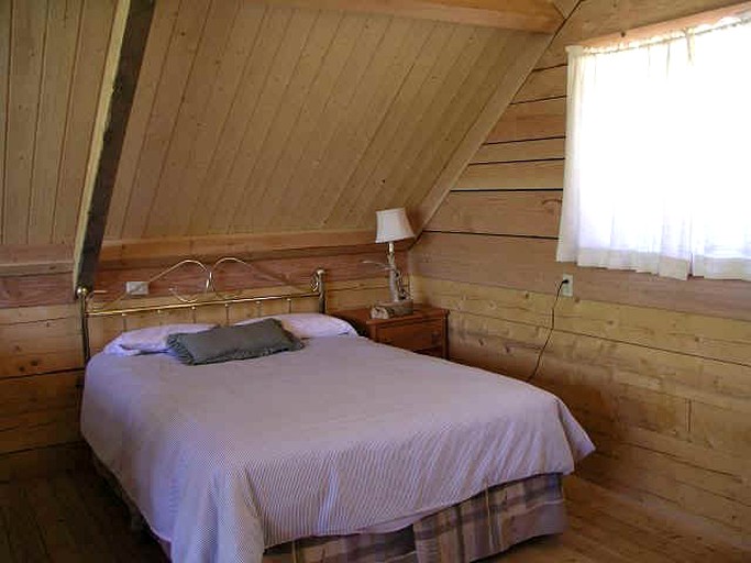 Log Cabins (Lake City, Colorado, United States)