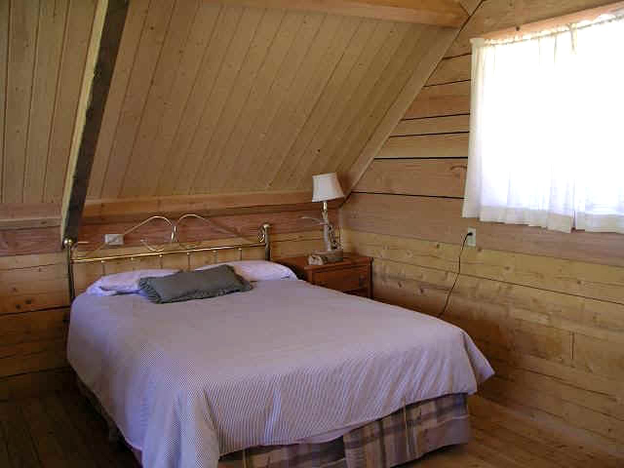 Pet-Friendly Log Cabin Rental near San Juan National Forest in Lake City, Colorado