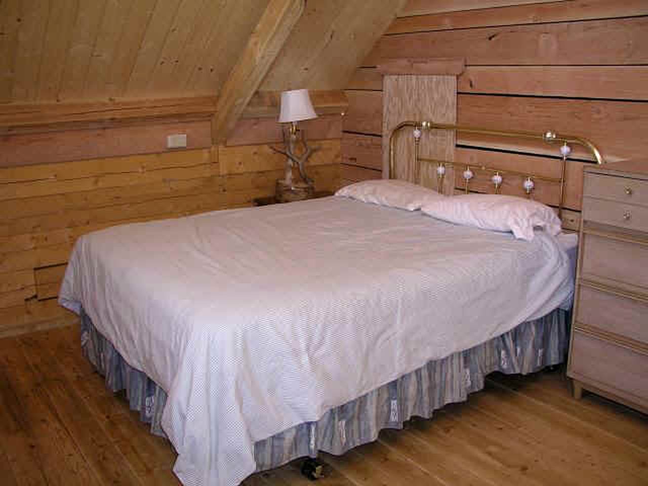 Pet-Friendly Log Cabin Rental near San Juan National Forest in Lake City, Colorado
