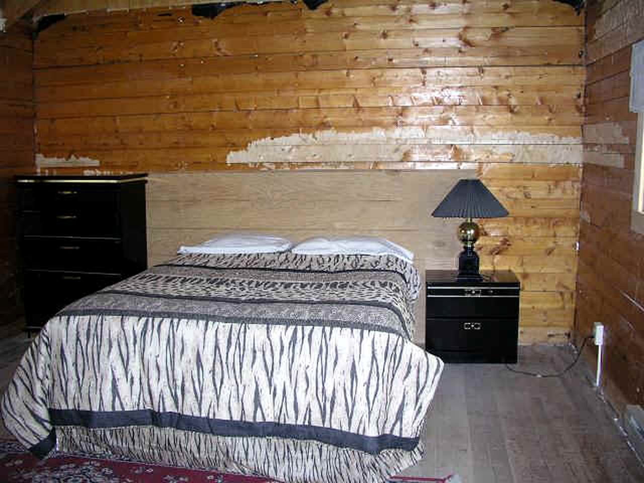 Vintage Log Cabin Rental Ideal for Families near Cannibal Plateau in Colorado