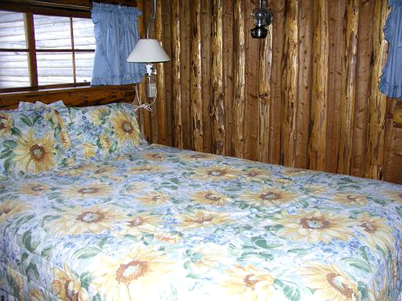 Pet-Friendly Log Cabin Rental for a Bucolic Getaway in Lake City, Colorado