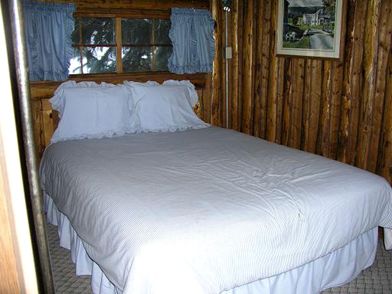 Pet-Friendly Log Cabin Rental for a Bucolic Getaway in Lake City, Colorado