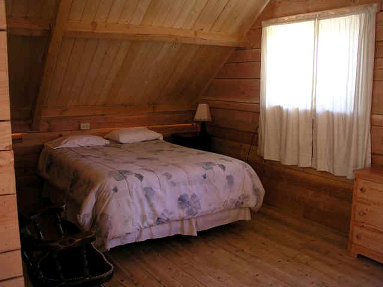Gorgeous Cabin Rental for a Family-Friendly Getaway in Lake City, Colorado