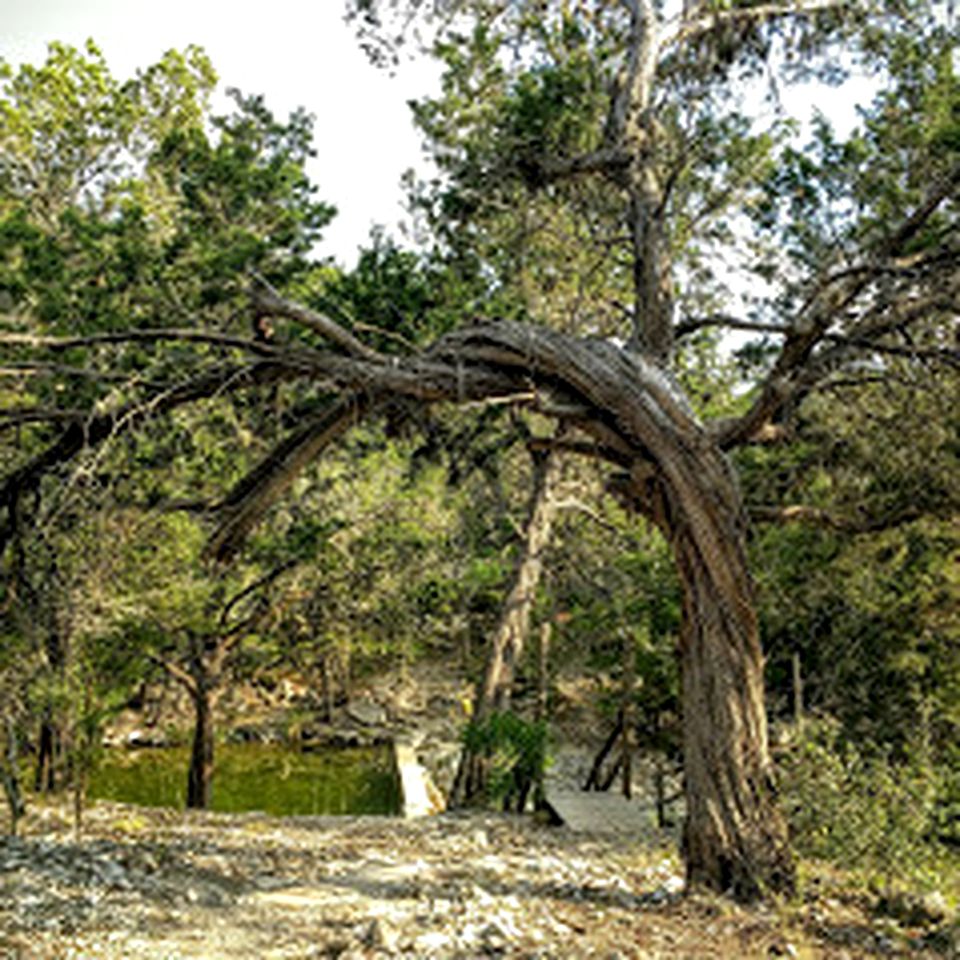 Texas Hill Country Glamping in this Rustic Cabin - Perfect for Family Vacations in the South