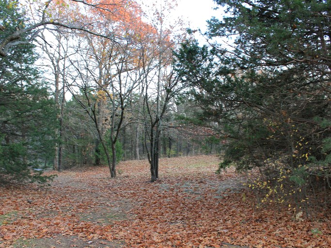 Cabins (Sadler, Texas, United States)