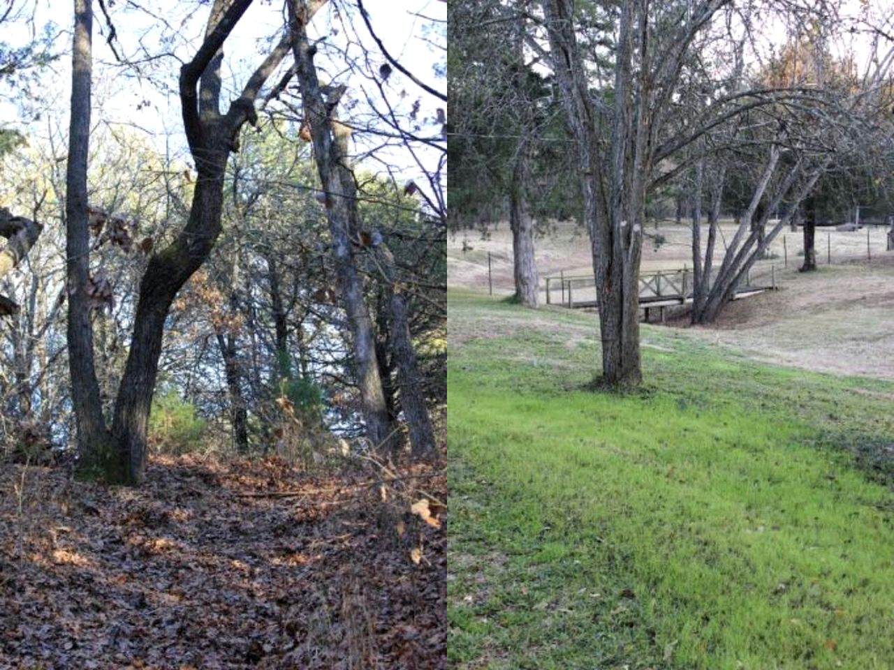 Charming Cabin Rental near Lake Texoma in Sadler, Texas