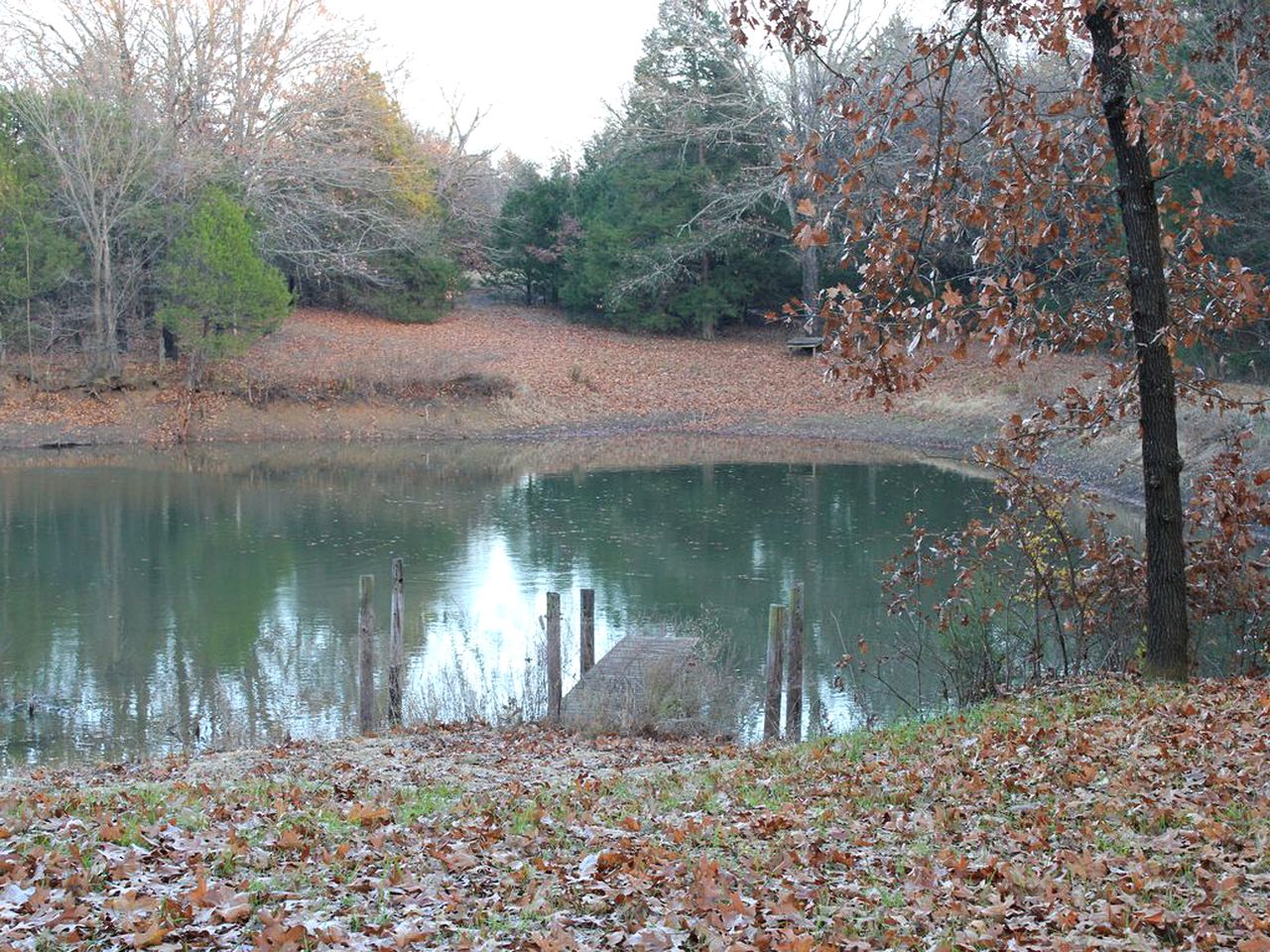 Charming Cabin Rental near Lake Texoma in Sadler, Texas