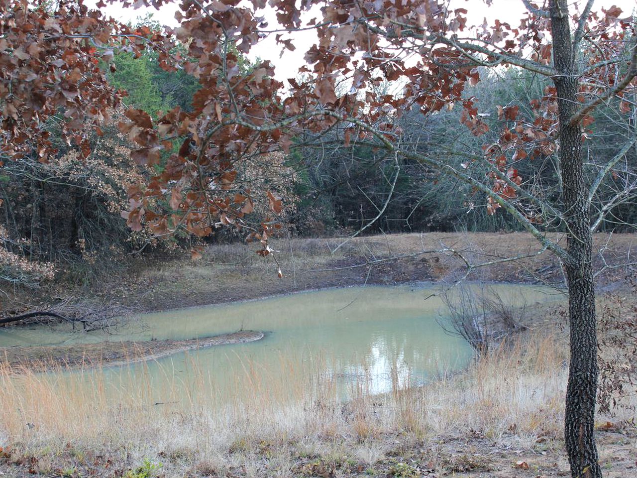 Charming Cabin Rental near Lake Texoma in Sadler, Texas