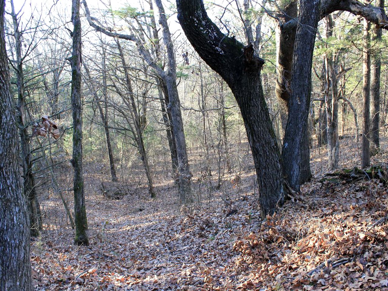 Charming Cabin Rental near Lake Texoma in Sadler, Texas