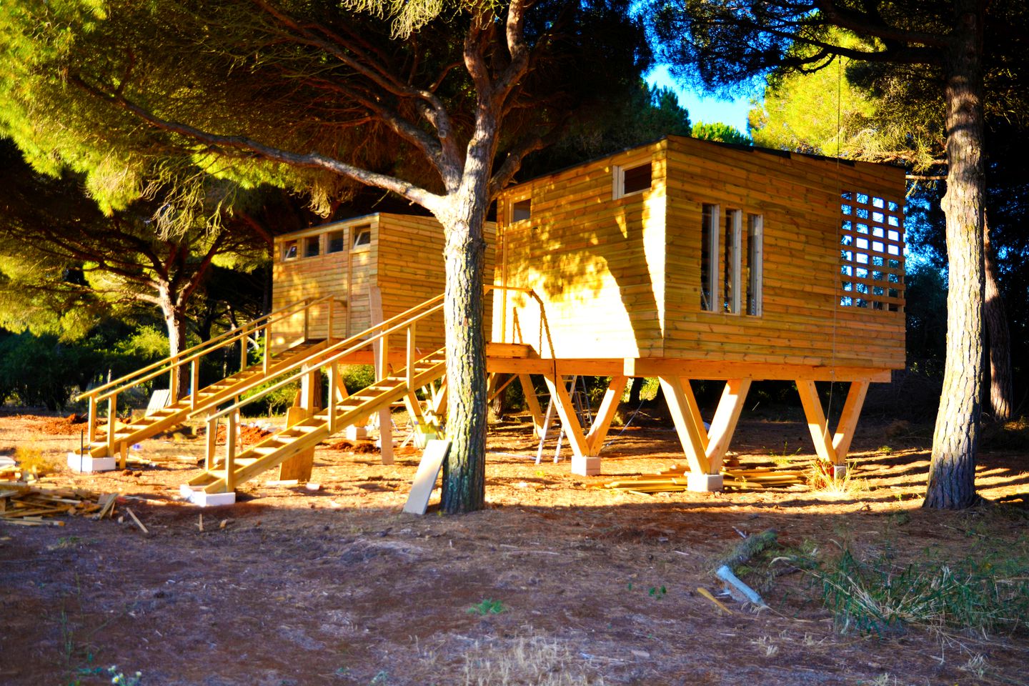 Eco-Friendly Treehouse Getaway with a Pool in Vejer de la Frontera, Spain