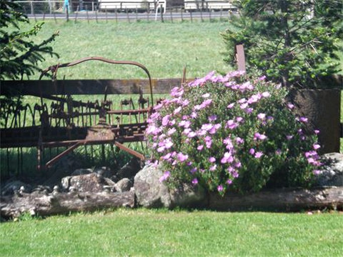 Vacation Rentals (Hikuai, North Island, New Zealand)