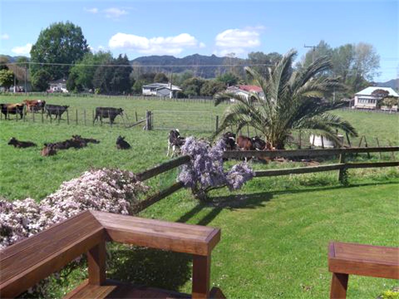 Private Vacation Rental for a Farm Getaway in Kopu, North Island