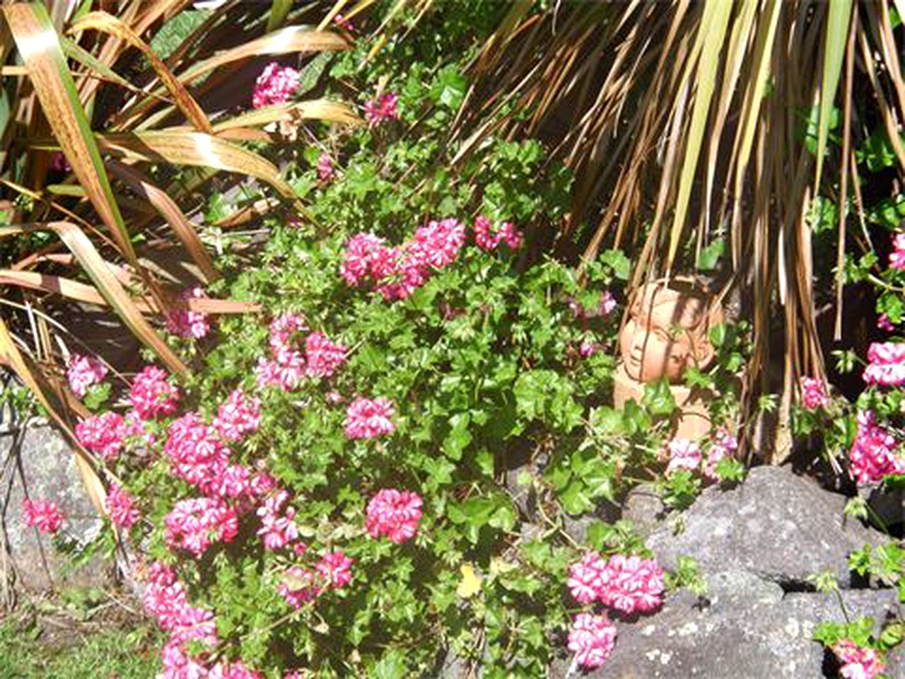 Private Vacation Rental for a Farm Getaway in Kopu, North Island