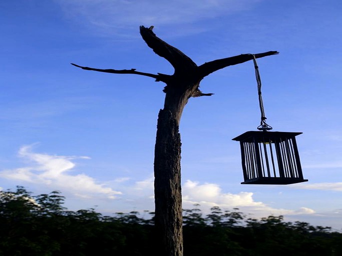 Huts (Ko Pha-ngan Island, Southern Thailand, Thailand)