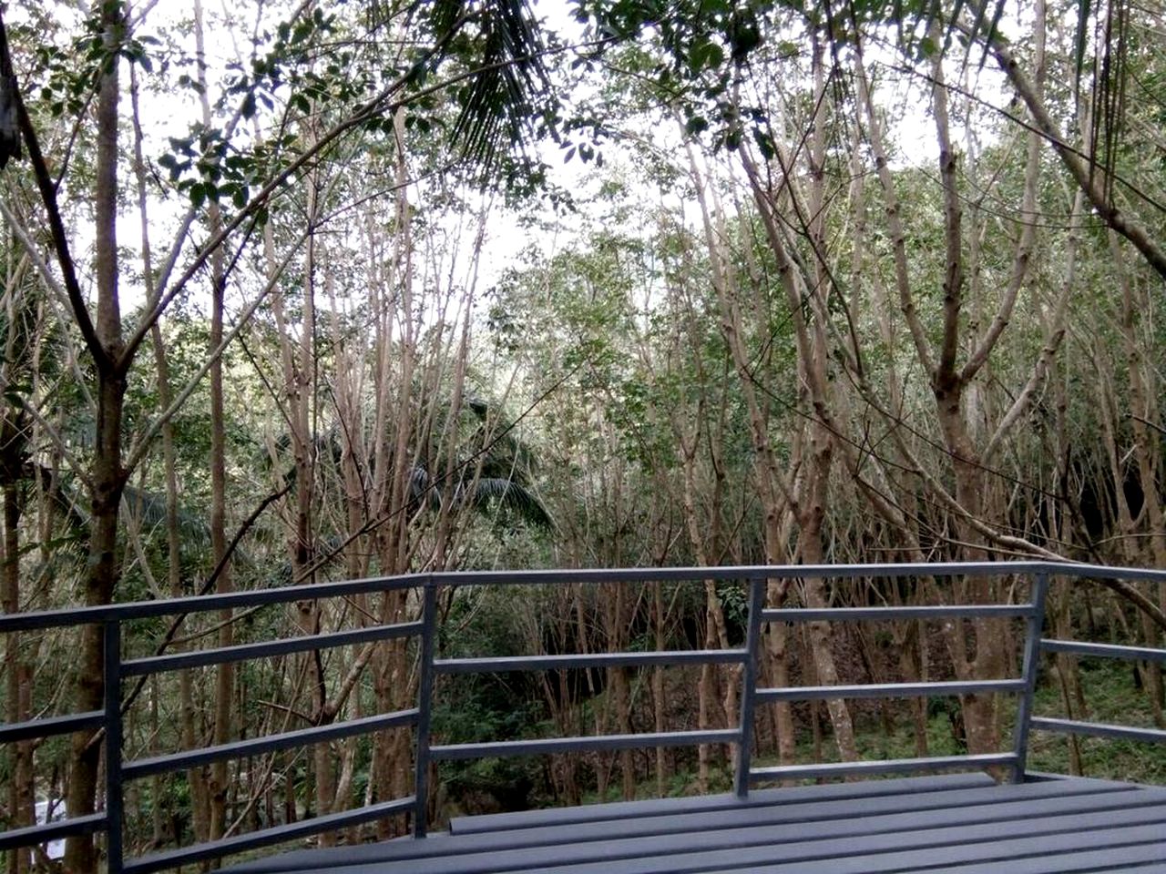 Modern Hut Accommodation with a Private Deck in Than Sadet Waterfall National Park, Thailand