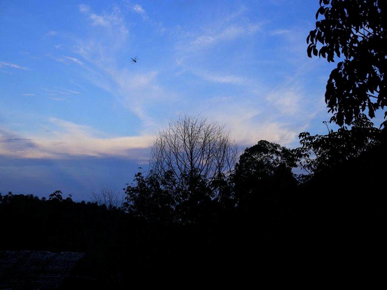 Cozy Cottage Rental with a Balcony Overlooking a Jungle near Than Sadet Beach, Thailand