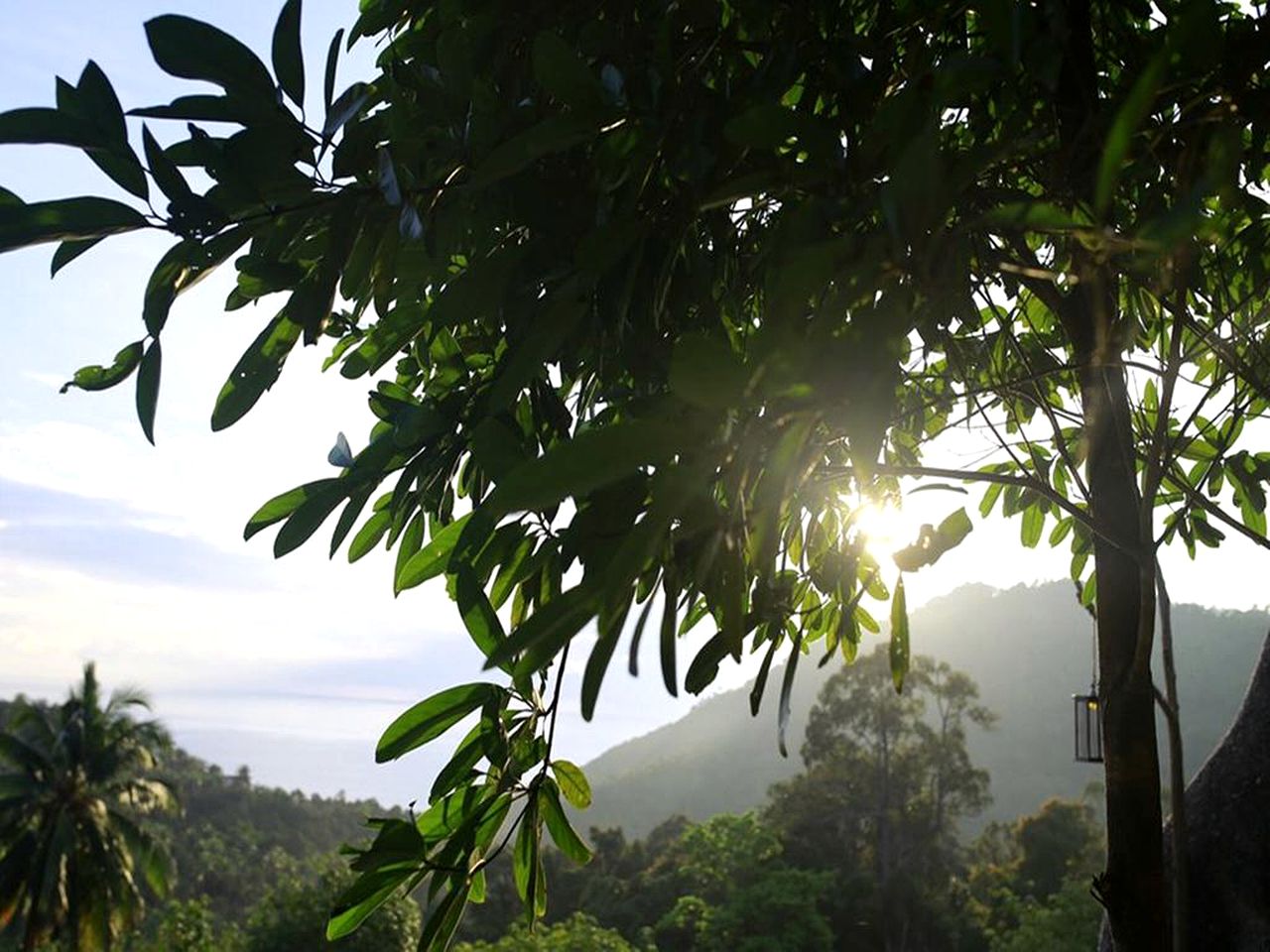 Cozy Cottage Rental with a Balcony Overlooking a Jungle near Than Sadet Beach, Thailand