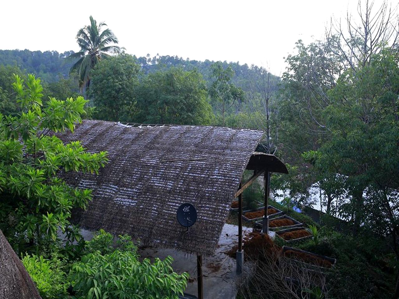 Cozy Cottage Rental with a Balcony Overlooking a Jungle near Than Sadet Beach, Thailand