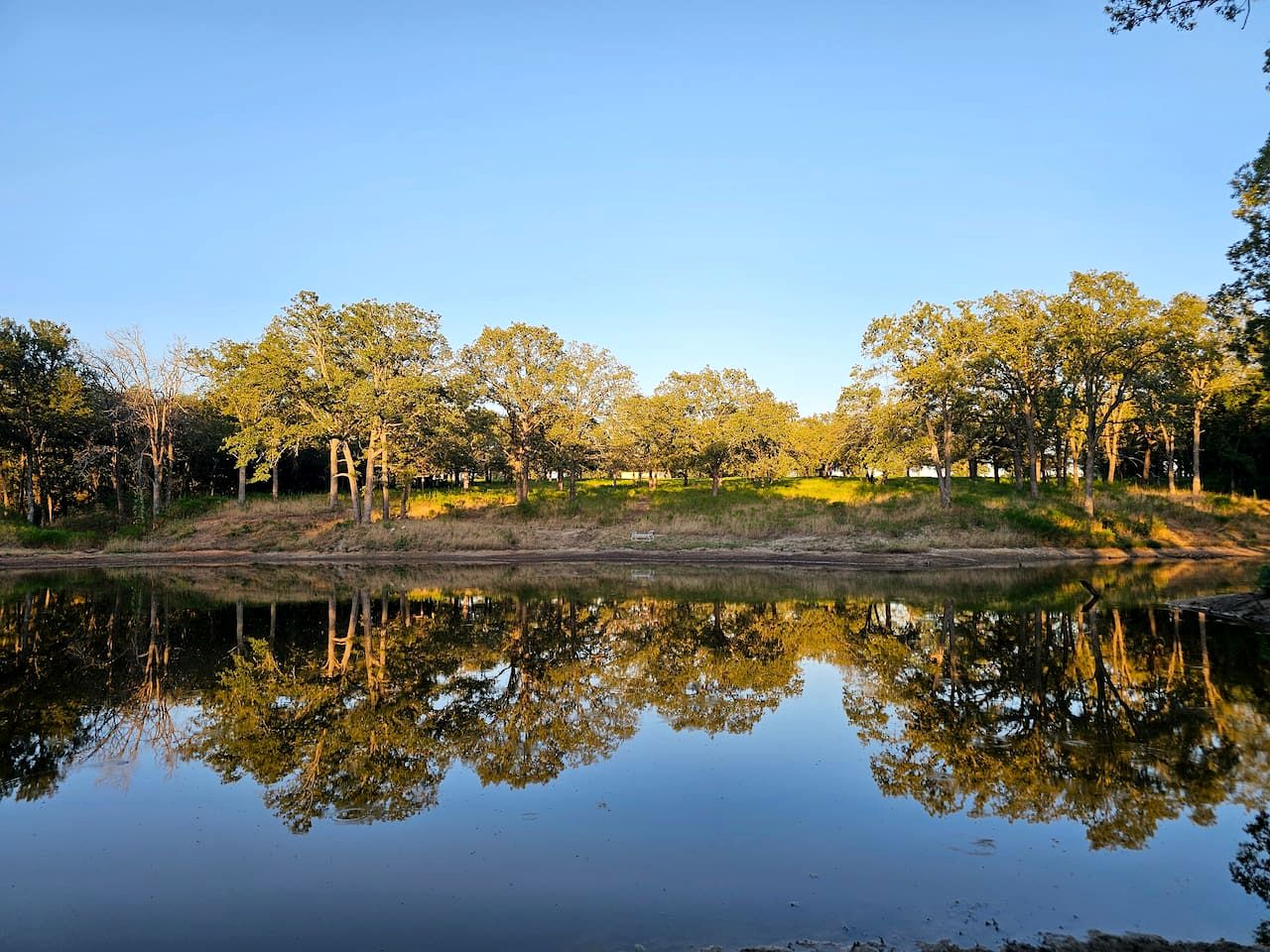 Enchanted Woodland Cabins by the Mountain in Texas with Private Pond and Scenic Trails