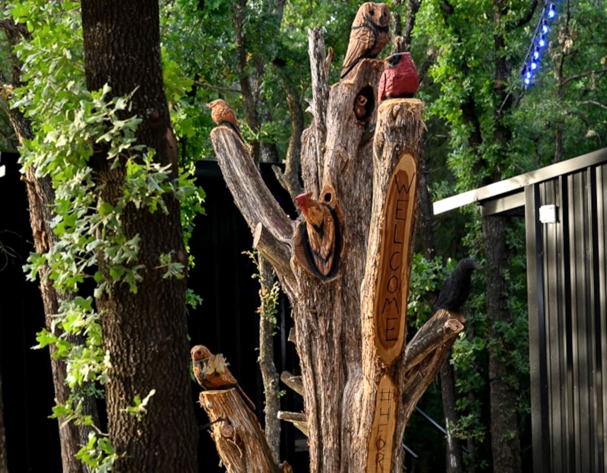 Enchanted Woodland Cabins by the Mountain in Texas with Private Pond and Scenic Trails