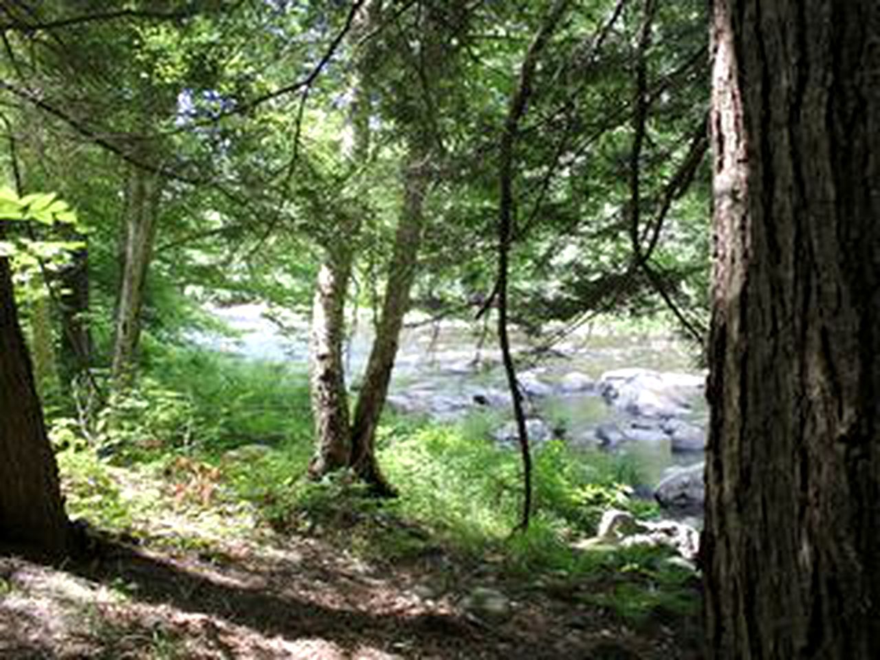 Family-Friendly Cabin on Trout Brook near Gore Mountain Ski Resort in Bakers Mills, New York