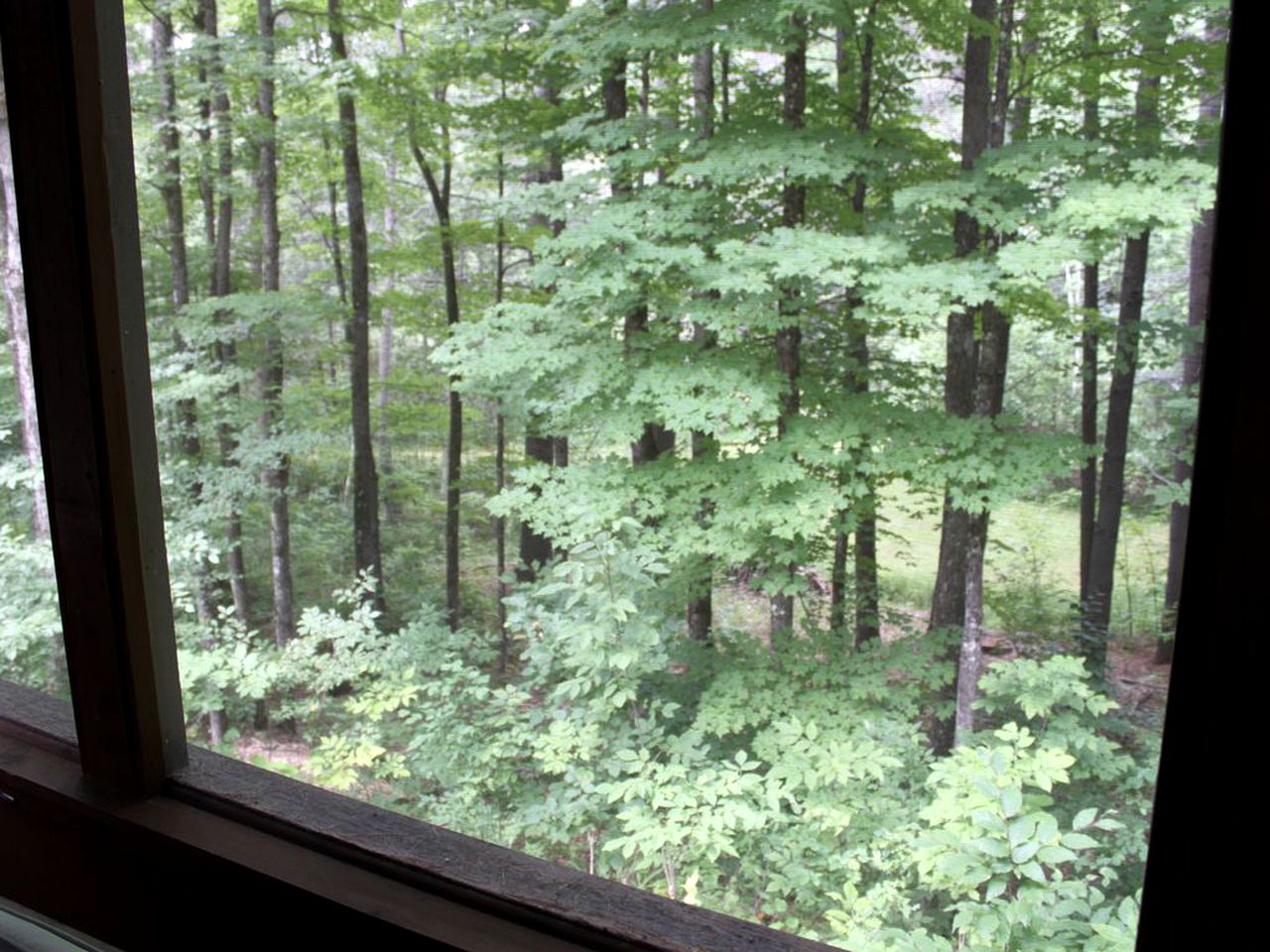 Family-Friendly Cabin on Trout Brook near Gore Mountain Ski Resort in Bakers Mills, New York