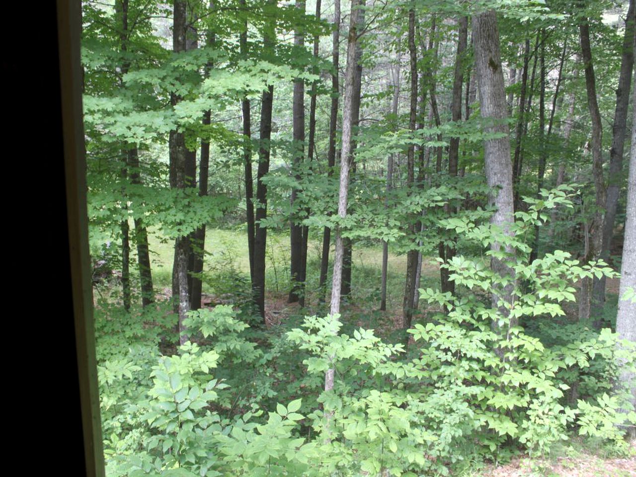 Family-Friendly Cabin on Trout Brook near Gore Mountain Ski Resort in Bakers Mills, New York