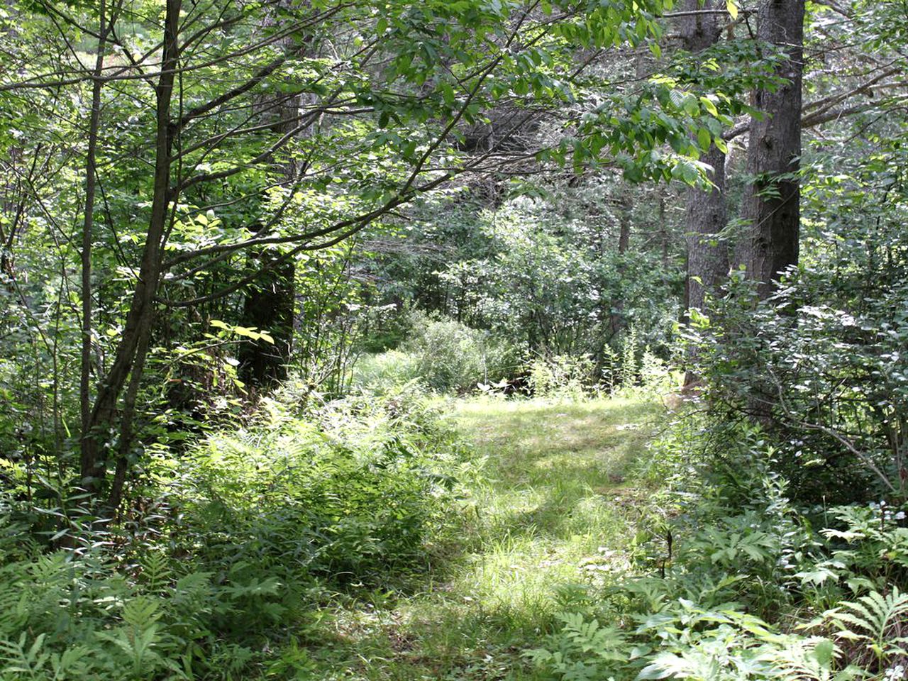 Family-Friendly Cabin on Trout Brook near Gore Mountain Ski Resort in Bakers Mills, New York